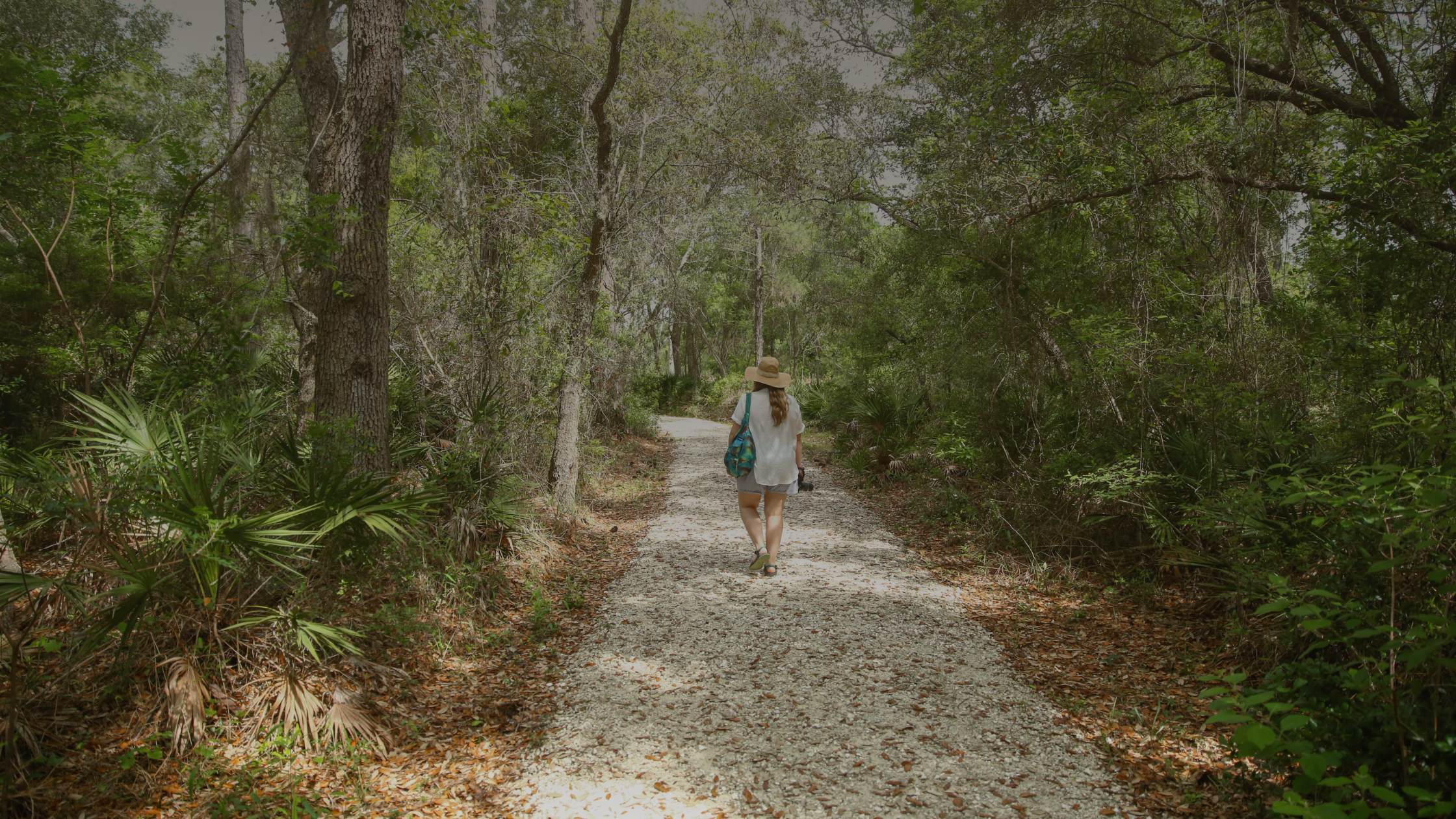 A gravel path leading into the woods with a woman halfway down it, wearing a sun hat, a white shirt, a bag slung over her shoulder and a camera in her hand